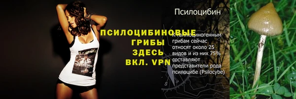 PSILOCYBIN Балабаново