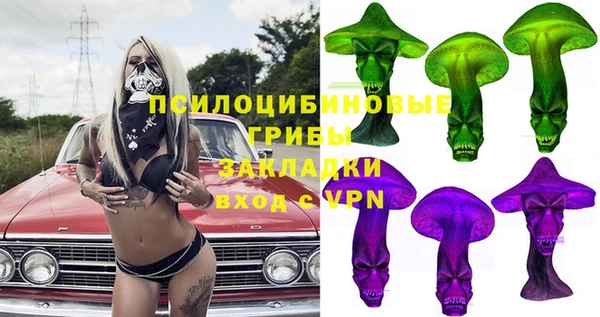PSILOCYBIN Балабаново