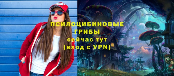 PSILOCYBIN Балабаново